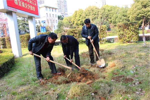 共植一棵树  同创森林城